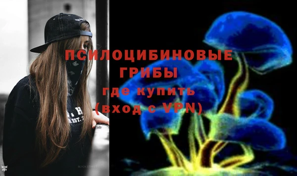 ГАЛЛЮЦИНОГЕННЫЕ ГРИБЫ Алзамай