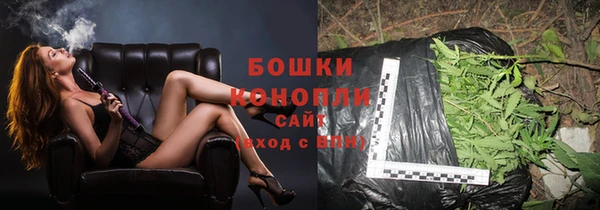 apvp Вяземский