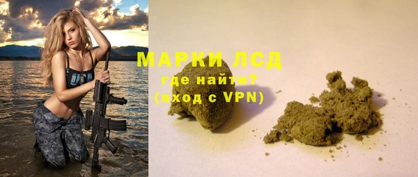 ГАЛЛЮЦИНОГЕННЫЕ ГРИБЫ Алзамай